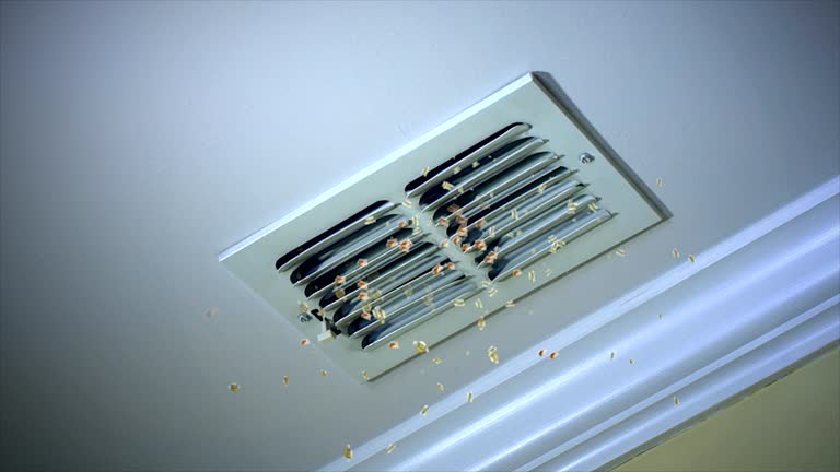 Best HVAC Air Duct Cleaning  in Tega Cay, SC